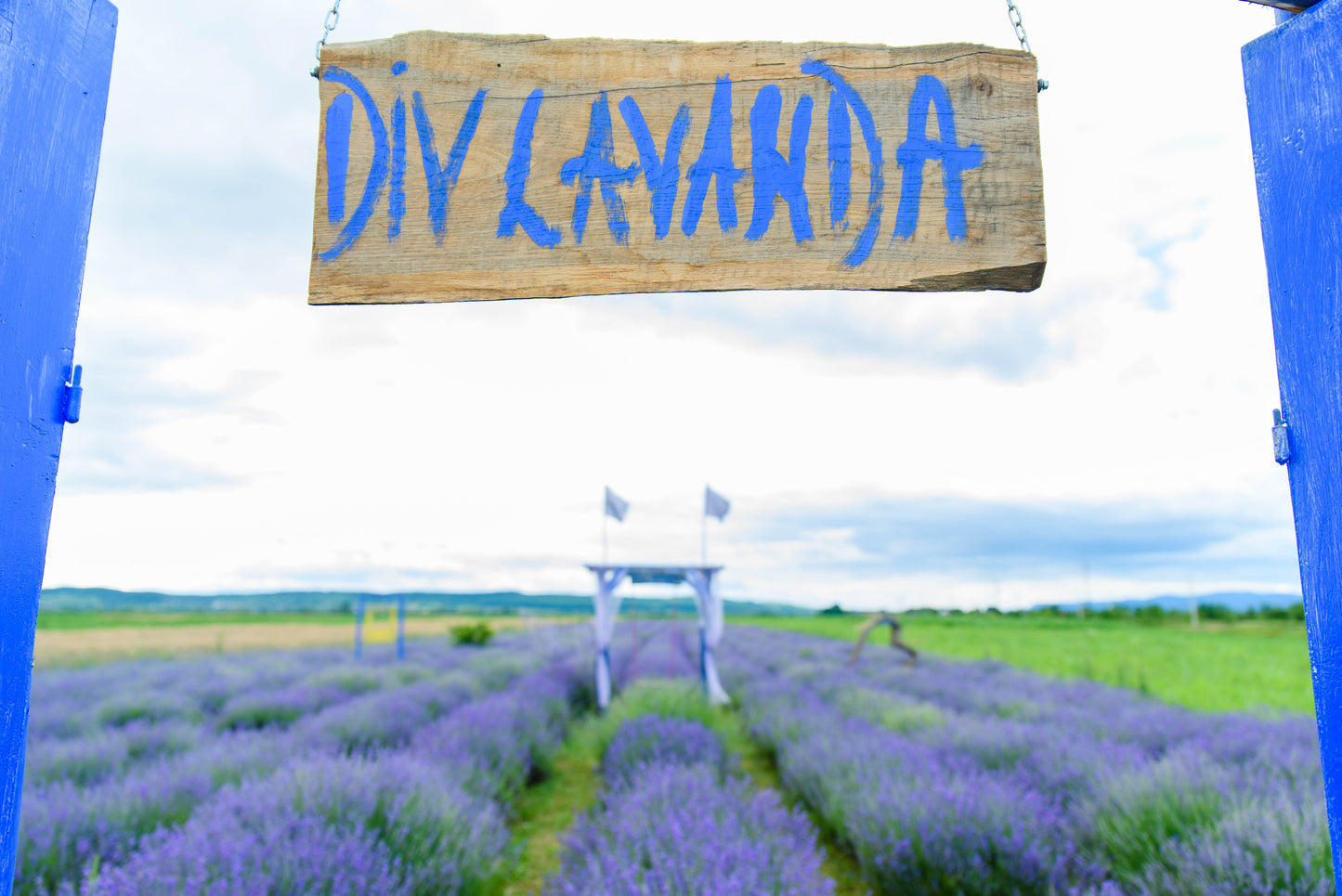 DIV Lavanda - ulei esential in recipient cu picurator, 10 ml