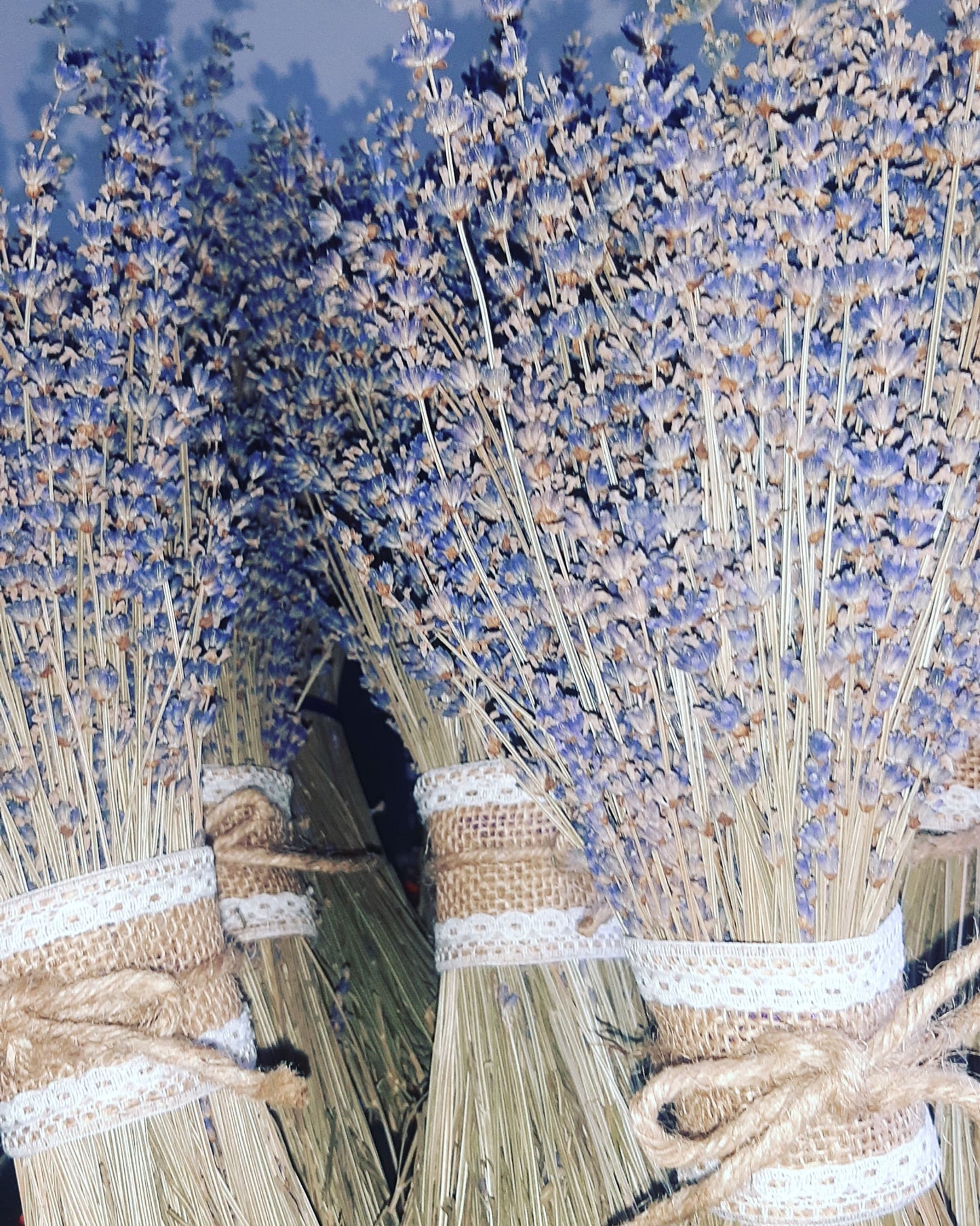 Lavender bouquet