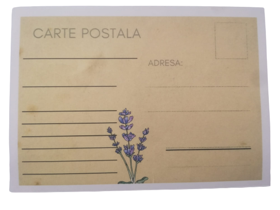 Carte postala Div Lavanda