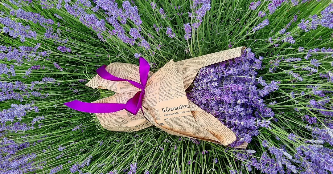 Buchet lavanda