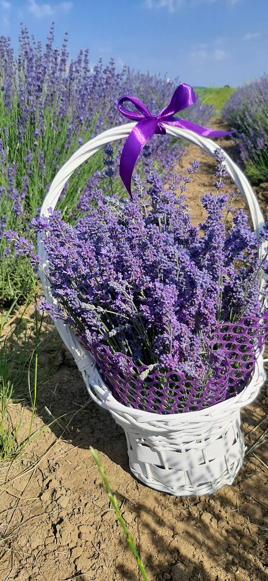 Cos cu flori de lavanda