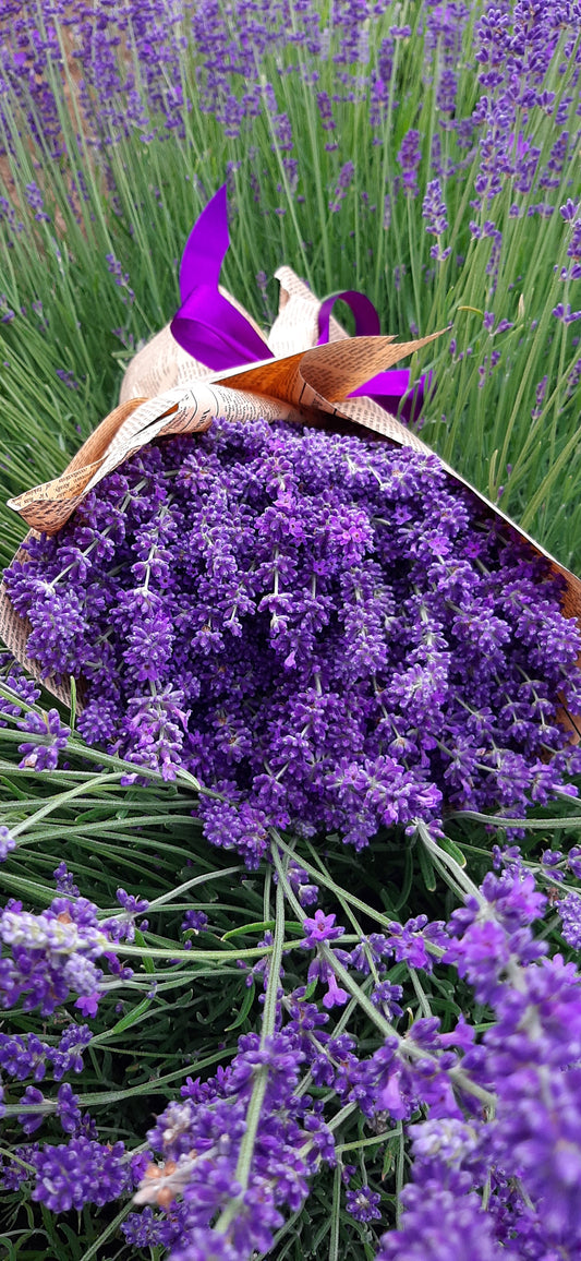 Buchet lavanda