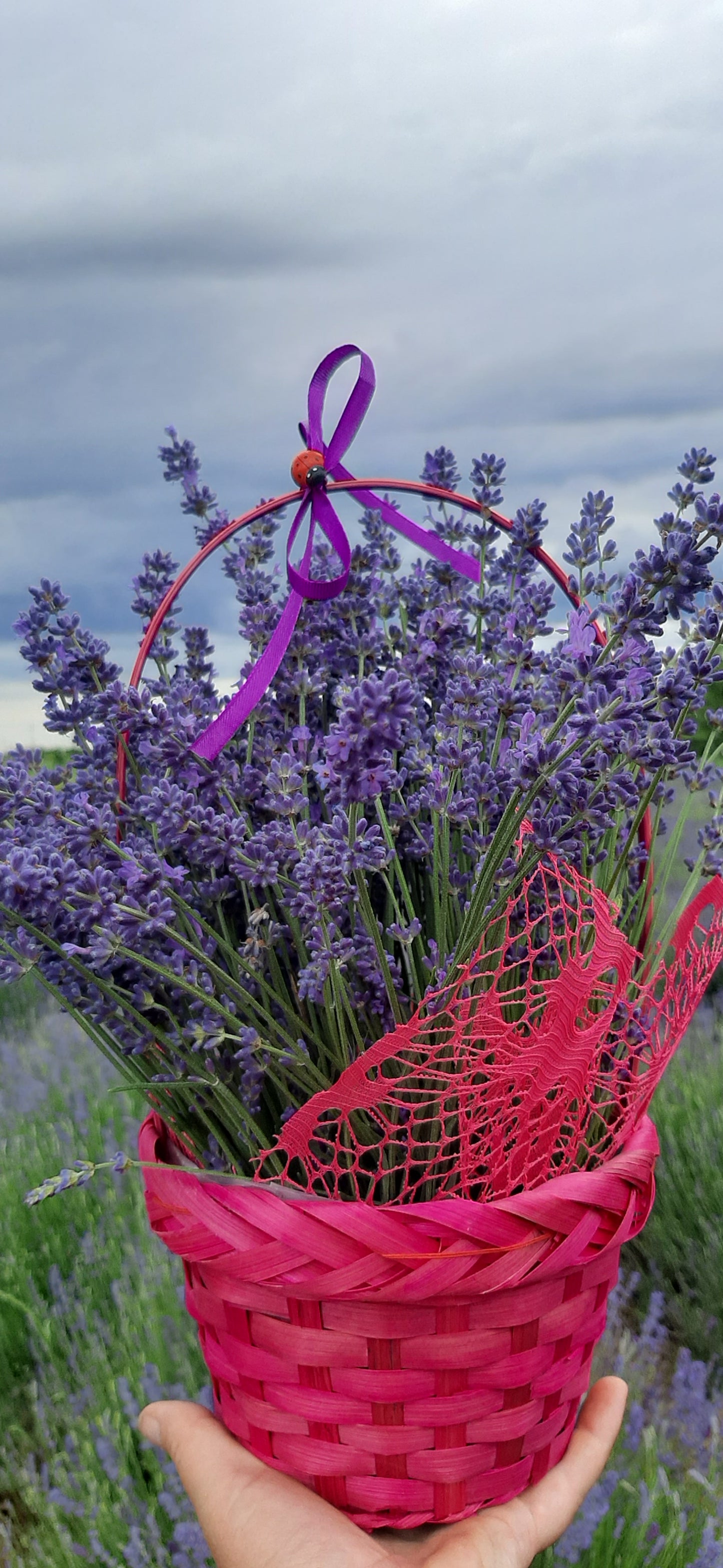 Cosulet roz cu flori de lavanda