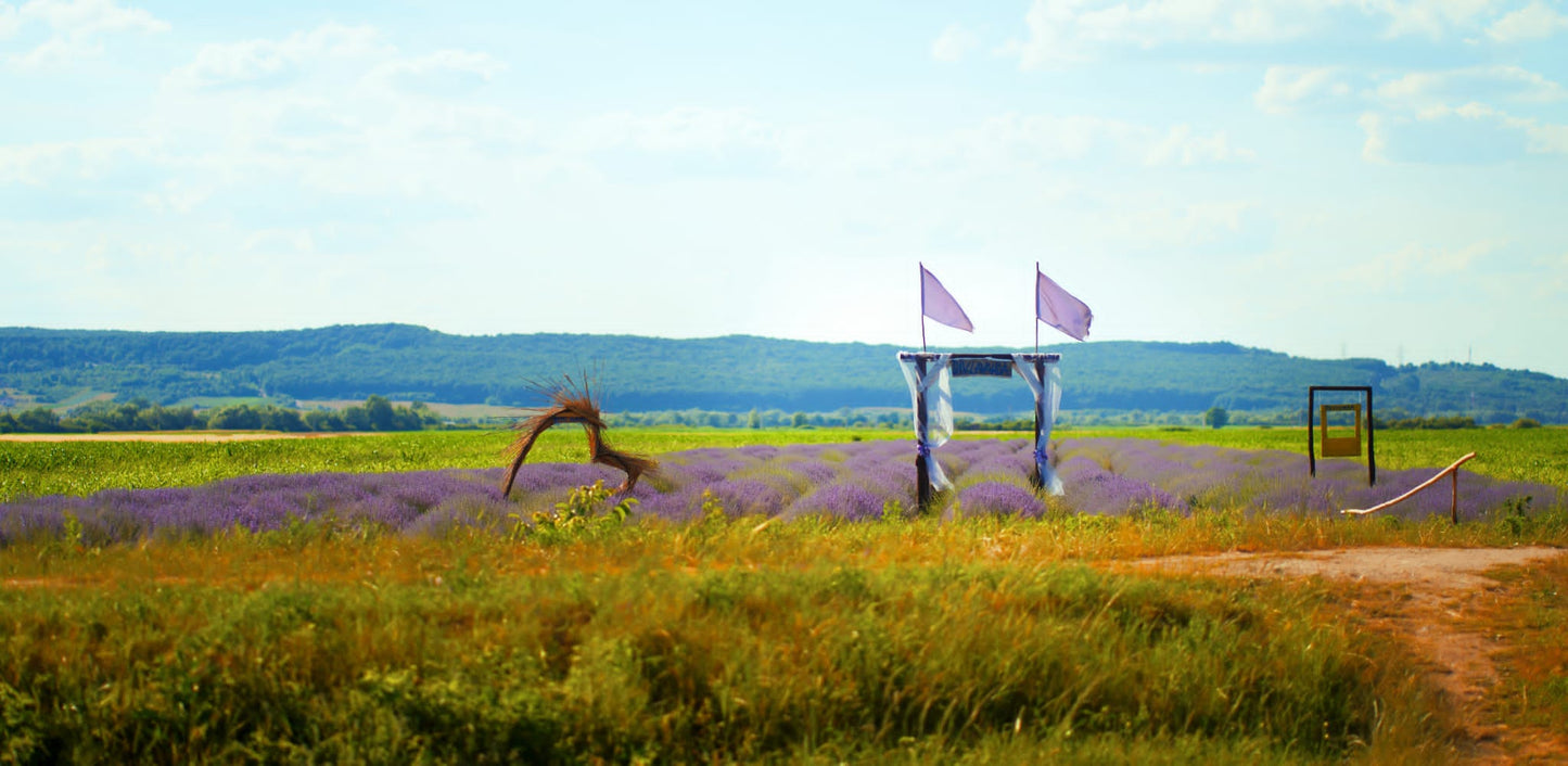 Sachet with lavender 10 g